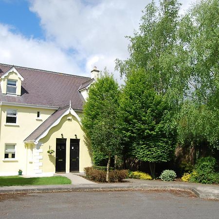 27 Aughrim Holidays Villa Bagian luar foto